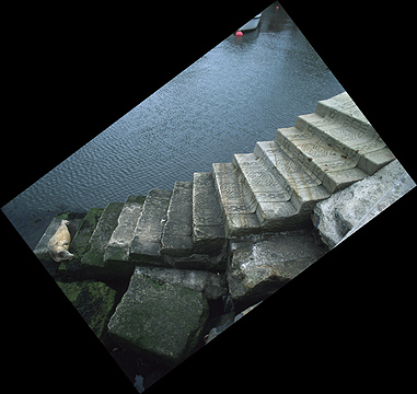 Stone Stair Carpet (plus visiting seal)