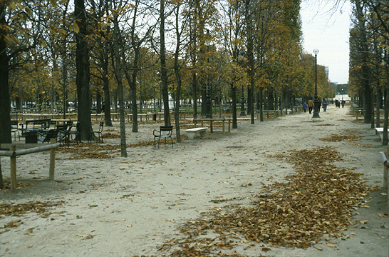 The Tuileries Gardens